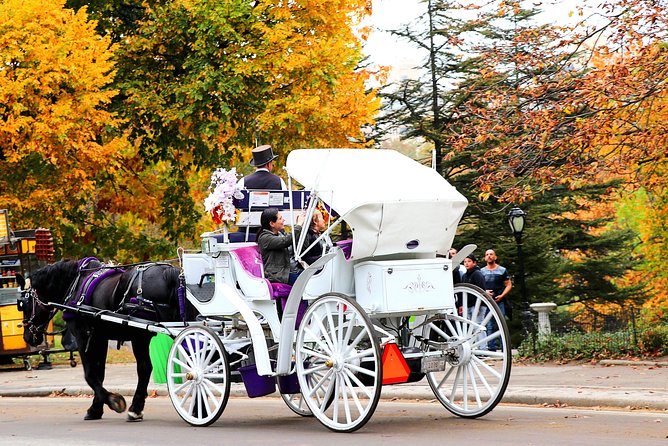 NYC Horse Carriage Ride in Central Park (50 Min. Up to 4 Adults) - Timing, pace, and what 50 minutes really means