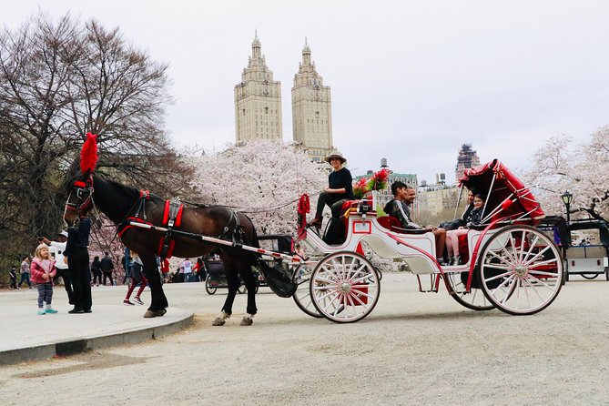NYC Horse Carriage Ride in Central Park (50 Min. Up to 4 Adults) - From Balto to Bethesda Terrace
