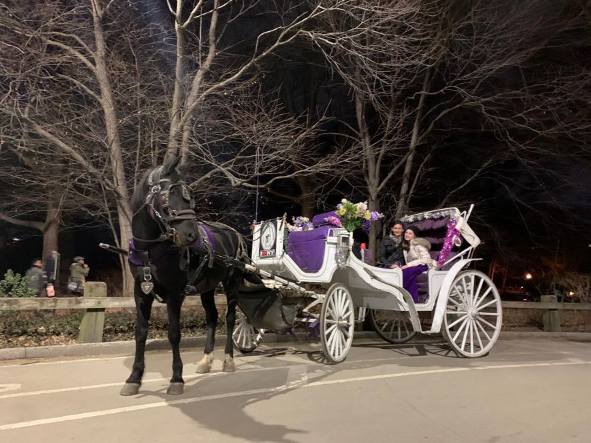 NYC Horse Carriage Ride in Central Park (65 min) - Key points to know before booking
