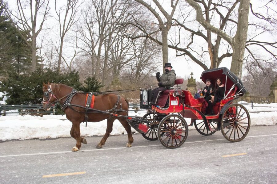 NYC Horse Carriage Ride in Central Park (65 min) - What this Central Park carriage ride feels like