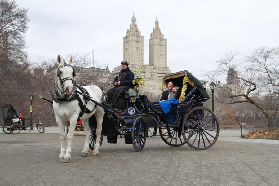 NYC Horse Carriage Ride in Central Park (65 min) - Bethesda Fountain and the park’s grandest setting