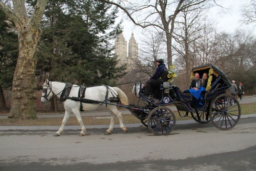NYC Horse Carriage Ride in Central Park (65 min) - Cherry Hill Fountain and feeding the horse