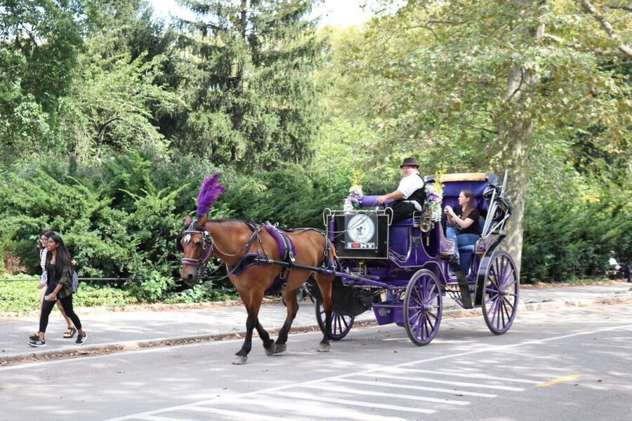 NYC Horse Carriage Ride in Central Park (65 min) - Strawberry Fields, The Dakota, and John Lennon’s New York