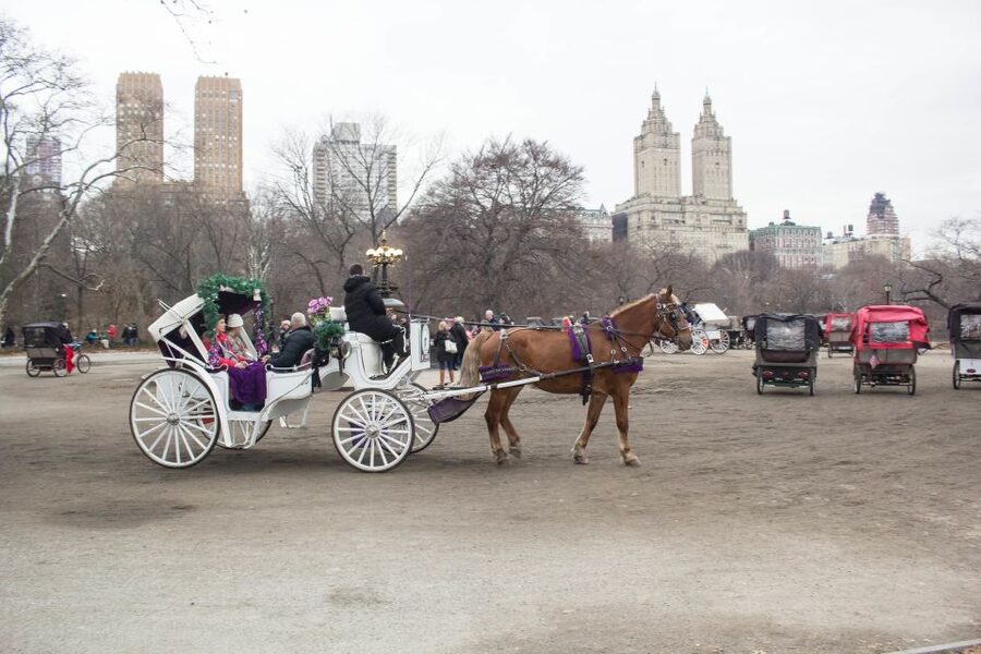 NYC Horse Carriage Ride in Central Park (65 min) - Bow Bridge, The Lake, and film locations
