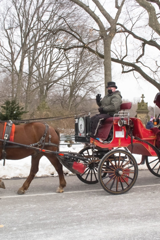 NYC Horse Carriage Ride in Central Park (65 min) - Finding the carriage near Central Park South