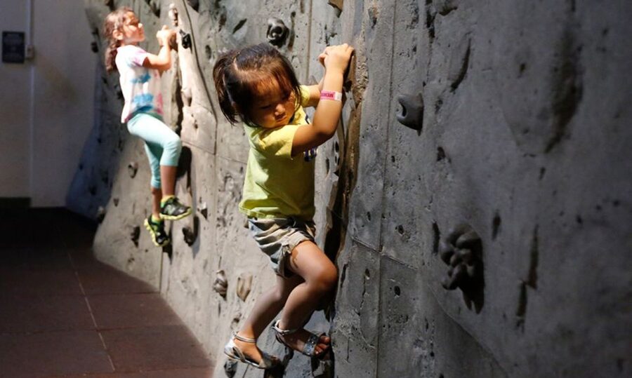 NYC: Liberty Science Center General Admission with Options - Skyscraper engineering and the 35-foot Infinity Climber