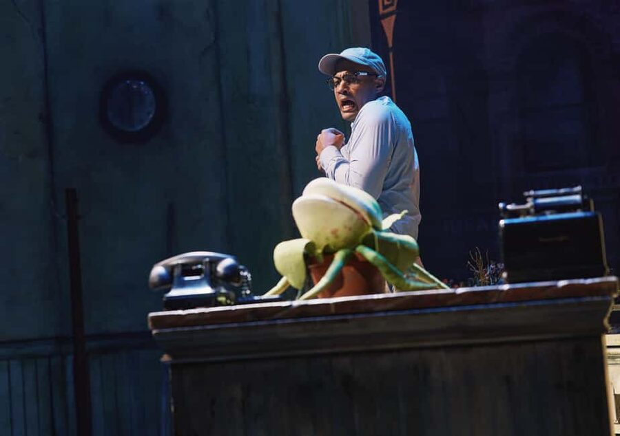 NYC: Little Shop of Horrors Off-Broadway Ticket - How to judge the ticket value