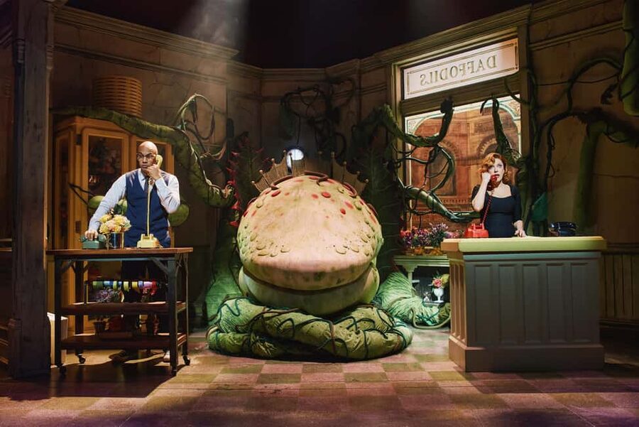 NYC: Little Shop of Horrors Off-Broadway Ticket - Should you book Little Shop of Horrors?