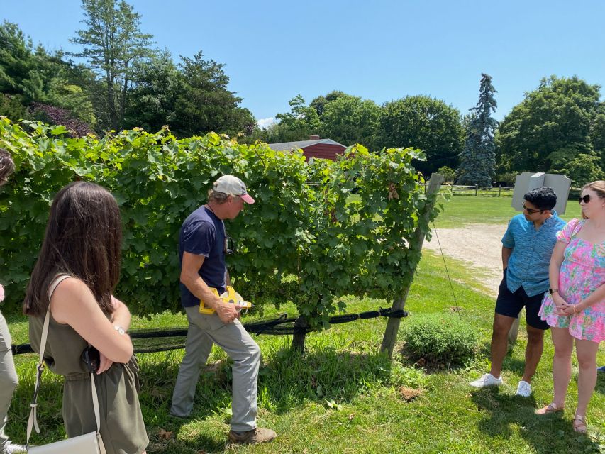 NYC: Long Island Sommelier-Guided Wine Tasting Tour - The first winery: food, wine, and time to ask questions