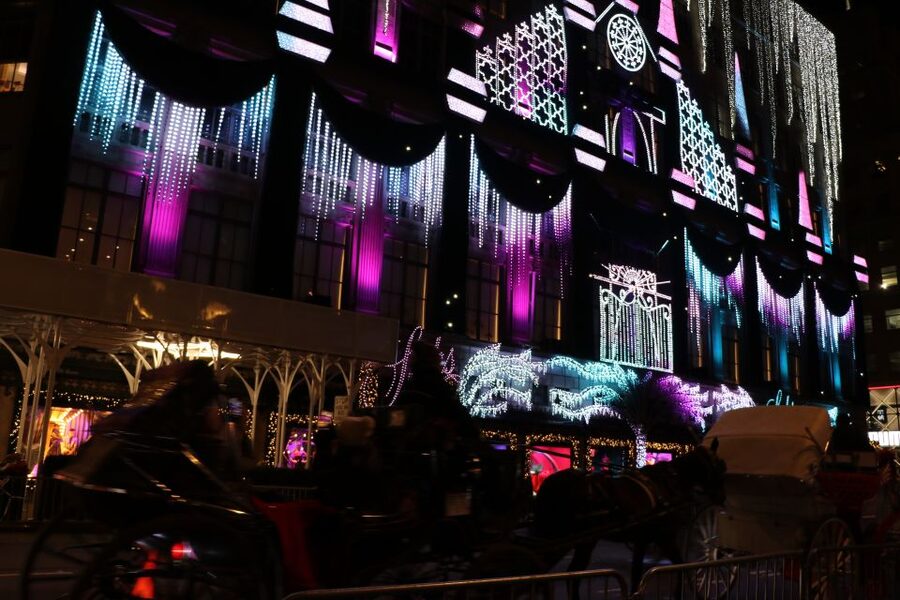 NYC: Magical Christmas Lights Carriage Ride - Starting beside Central Park South