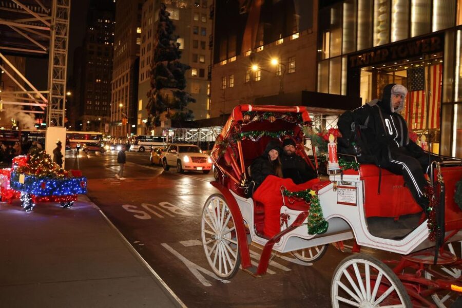 NYC: Magical Christmas Lights Carriage Ride - Booking tips for a smoother evening