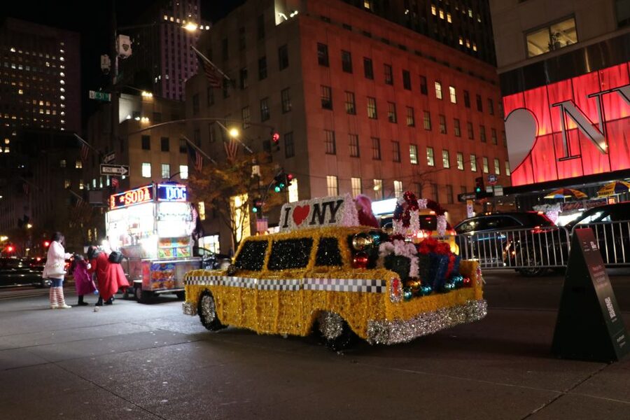 NYC: Magical Christmas Lights Carriage Ride - What the horse and guide add