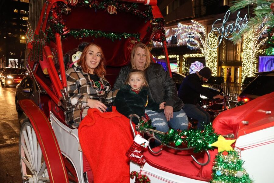 NYC: Magical Christmas Lights Carriage Ride - Is $415 a fair price?