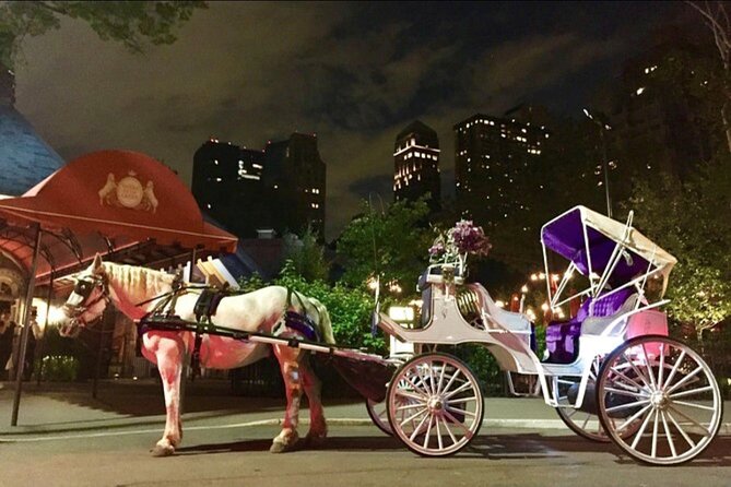NYC : Magical Christmas Lights Private Horse Carriage Ride - A decorated horse and a classic carriage