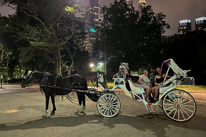 NYC : Magical Christmas Lights Private Horse Carriage Ride - Blankets, seating, and the cold-weather tradeoff