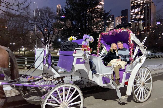 NYC : Magical Christmas Lights Private Horse Carriage Ride - Who will enjoy this ride most?