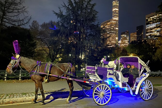 NYC : Magical Christmas Lights Private Horse Carriage Ride - Central Park scenes and movie locations