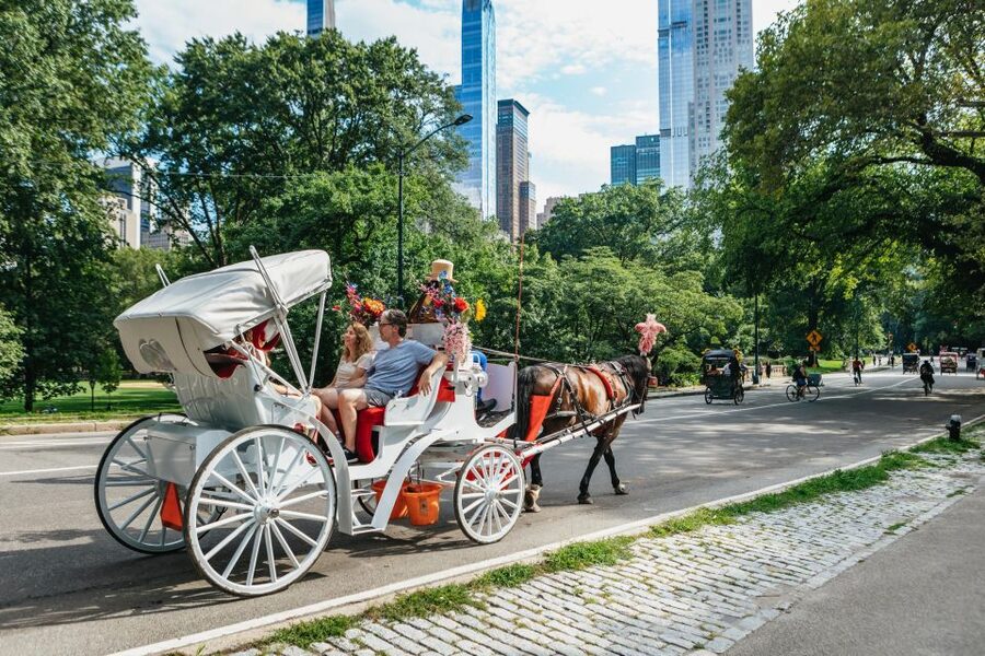 NYC MAGICAL NIGHT TIME RIDE Central Park/Rockefeller Center - Should you book this Central Park and Rockefeller Center ride?