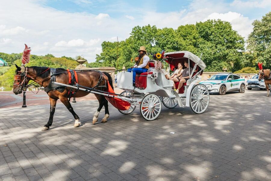 NYC MAGICAL NIGHT TIME RIDE Central Park/Rockefeller Center - Does $230 offer good value?