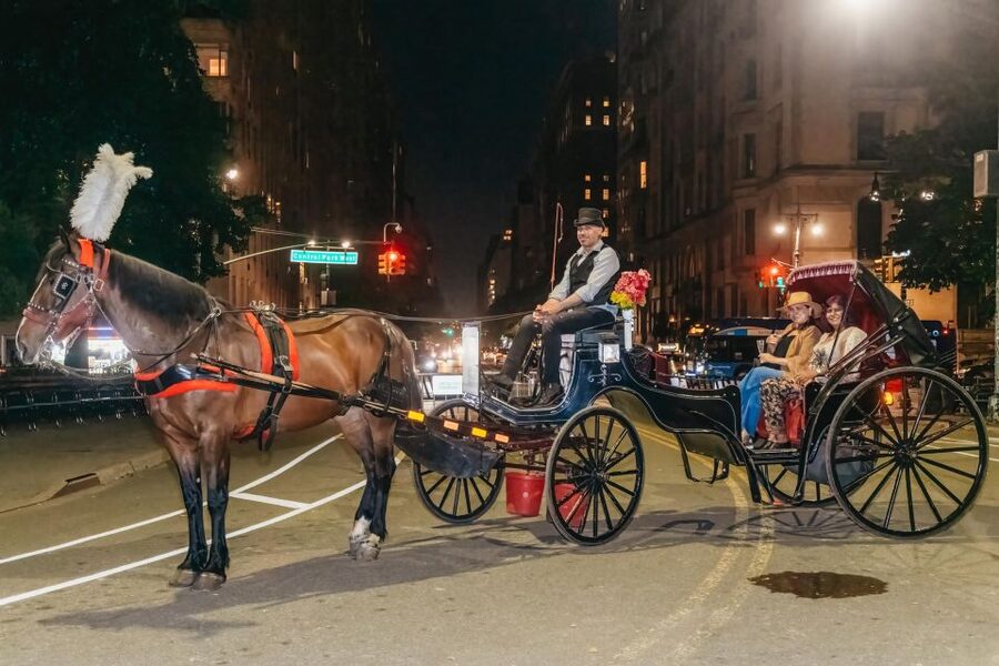 NYC MOONLIGHT HORSE CARRIAGE RIDE through Central Park - Why Central Park feels special after dark