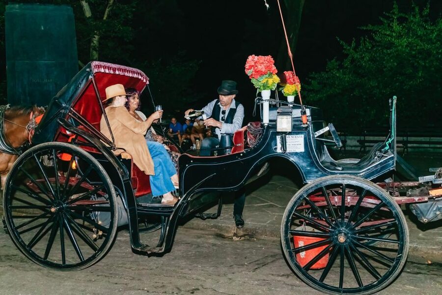 NYC MOONLIGHT HORSE CARRIAGE RIDE through Central Park - Who should book this moonlight carriage ride?