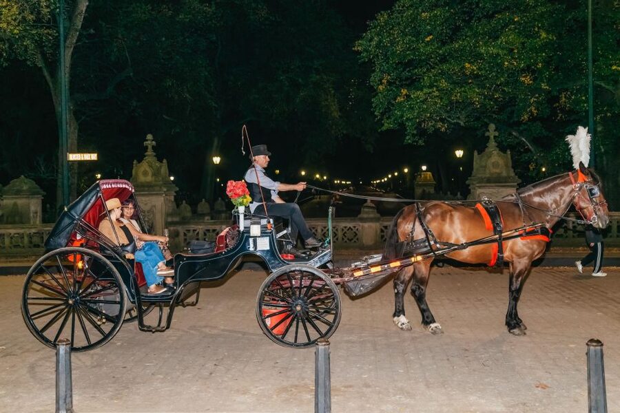 NYC MOONLIGHT HORSE CARRIAGE RIDE through Central Park - From Cop Cot to Wollman Rink