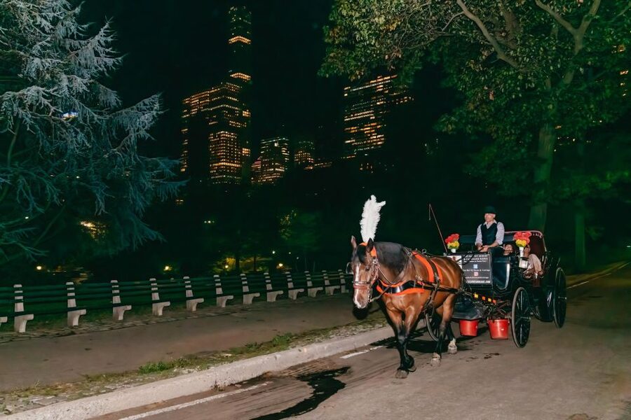 NYC MOONLIGHT HORSE CARRIAGE RIDE through Central Park - The Boathouse, Bethesda Terrace, and Cherry Hill