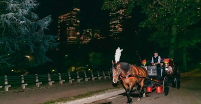 NYC MOONLIGHT HORSE CARRIAGE RIDE through Central Park