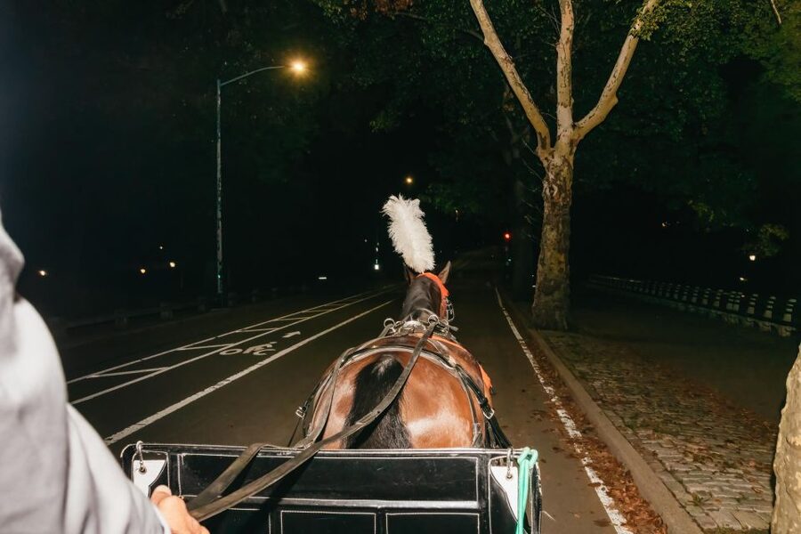 NYC MOONLIGHT HORSE CARRIAGE RIDE through Central Park - The Dakota and Strawberry Fields after sunset