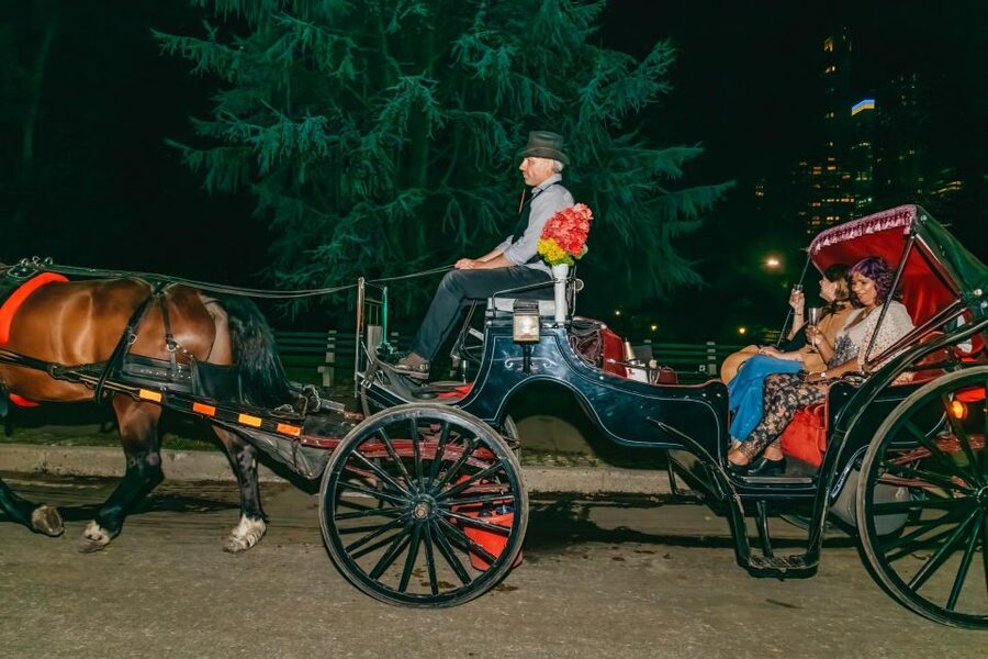 NYC MOONLIGHT HORSE CARRIAGE RIDE through Central Park - What the $190 group price really buys you