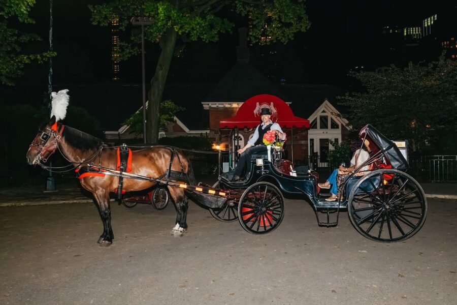 NYC MOONLIGHT HORSE CARRIAGE RIDE through Central Park - Blankets, photo stops, and contact with the horses