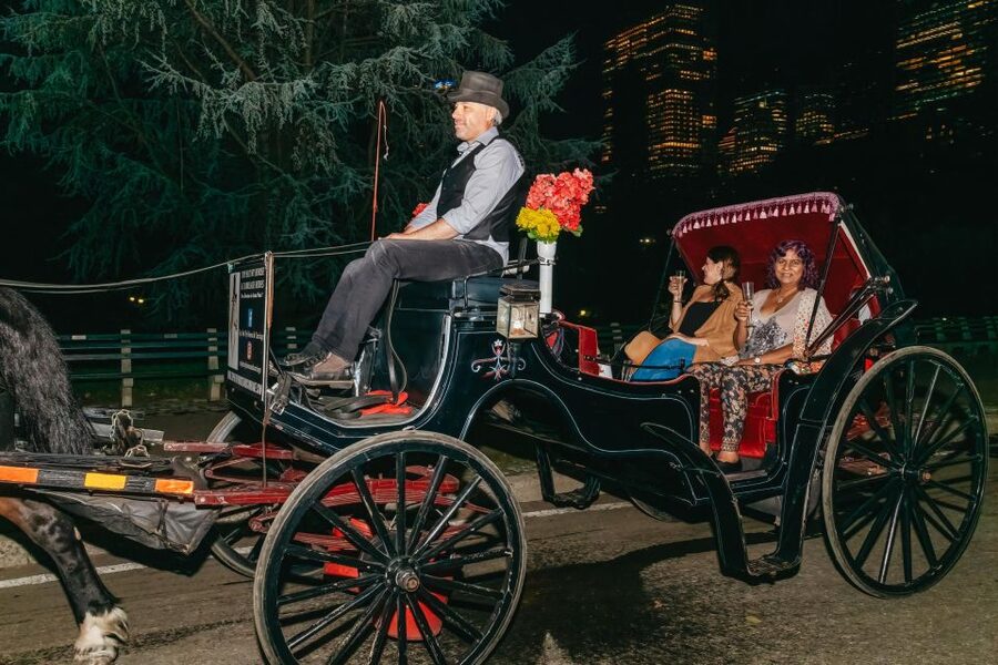 NYC MOONLIGHT HORSE CARRIAGE RIDE through Central Park - The main weakness: route changes and guide focus