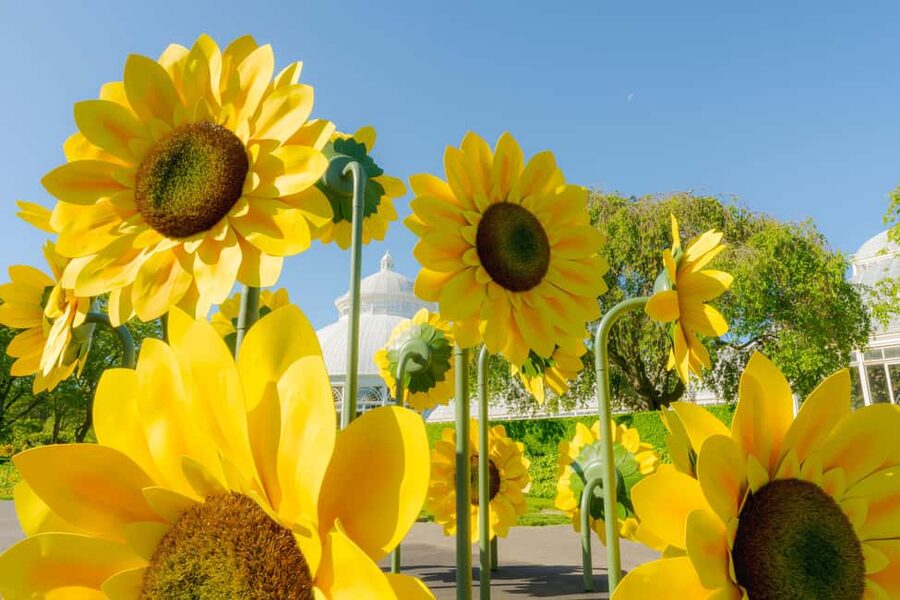 NYC: New York Botanical Garden Pass - Starting with the All-Garden Pass