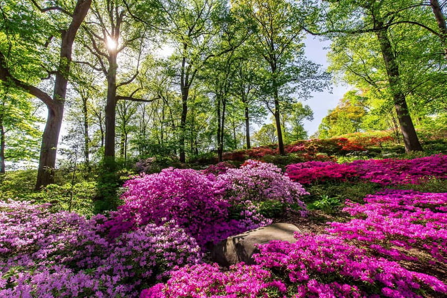 NYC: New York Botanical Garden Pass - Fall pumpkins, winter trains, and spring orchids