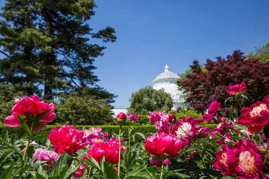 NYC: New York Botanical Garden Pass - Food, breaks, and the real cost of the day