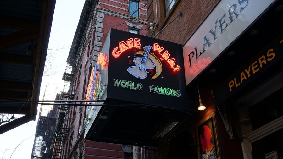 NYC: New York City History of Stand-Up Comedy Tour - Who will enjoy this most?