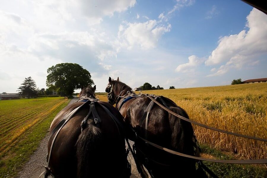 NYC: Philadelphia, Washington DC & Amish Country 2-Day Tour - Key points to know before booking