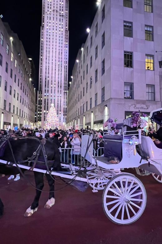 NYC: Private Central Park and NYC City Tour - Why a carriage is a good way to see Central Park