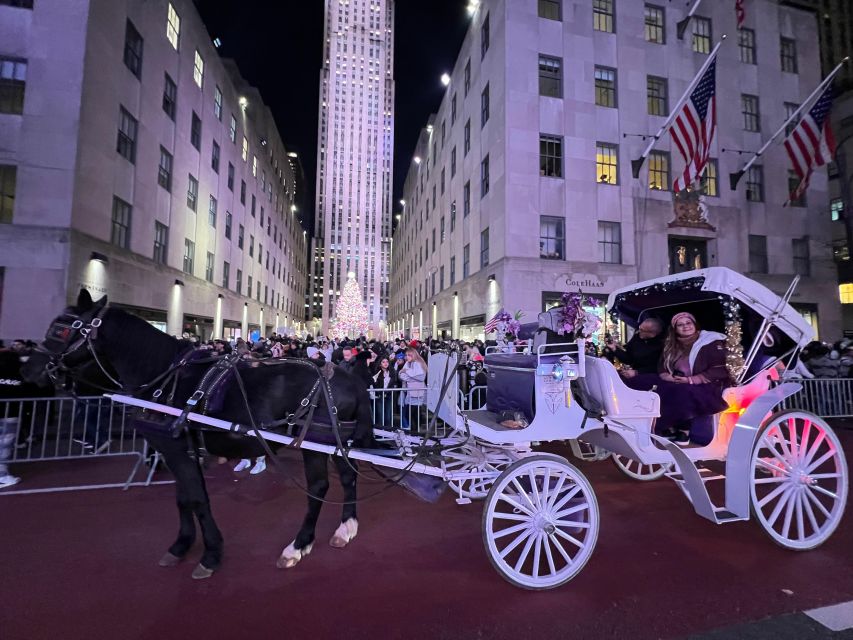 NYC: Private Central Park and NYC City Tour - The Carousel and Chess and Checkers House