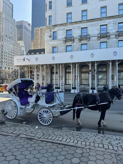 NYC: Private Central Park and NYC City Tour - Starting at 200 Central Park South