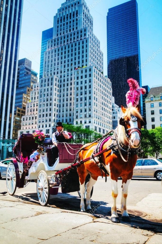 NYC: Private Central Park Horse Carriage Ride with Guide - Key points to know before you book