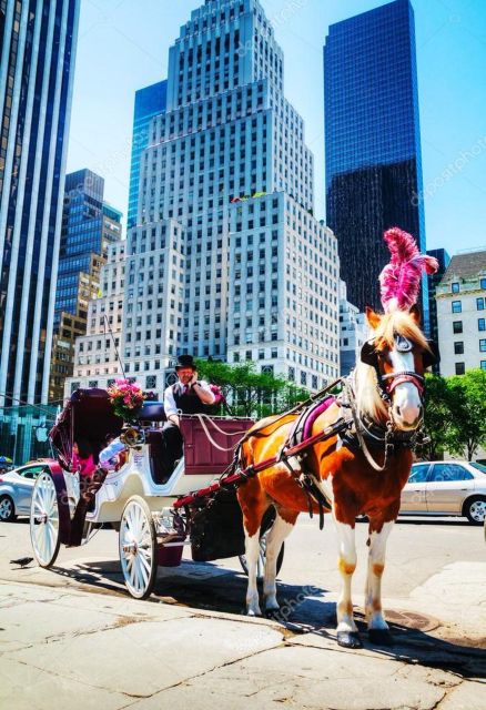NYC: Private Central Park Horse Carriage Ride with Guide - Why a carriage changes Central Park