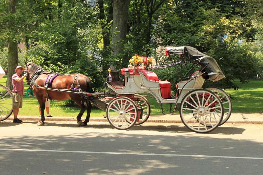 NYC: Private Central Park Horse Carriage Ride with Guide - The Central Park route, from Wollman Rink to Bethesda Fountain