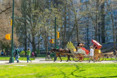 Private Central Park Horse Carriage Ride with Guide