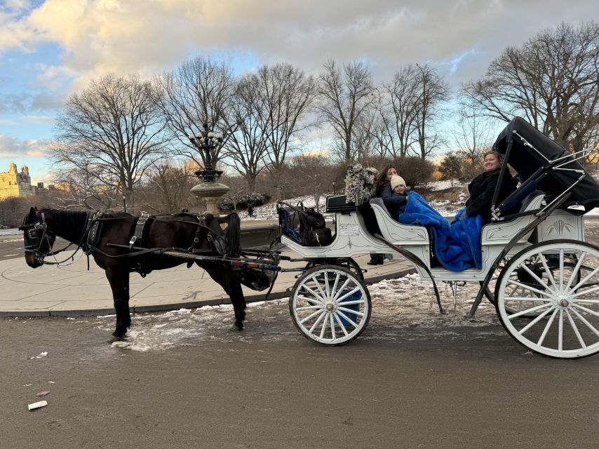 NYC: Private Central Park Horse Carriage Ride with Guide - Booking advice for a smoother ride