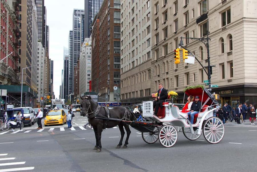 NYC Private Central Park Horse Carriage Ride with Guide - The guides and the personal touch