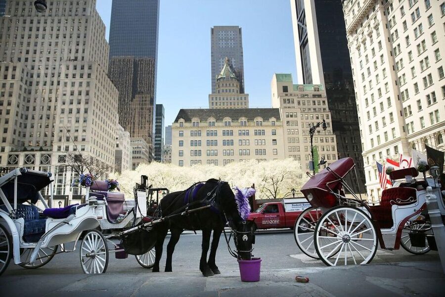 NYC Private Central Park Horse Carriage Ride with Guide - How long should you book?