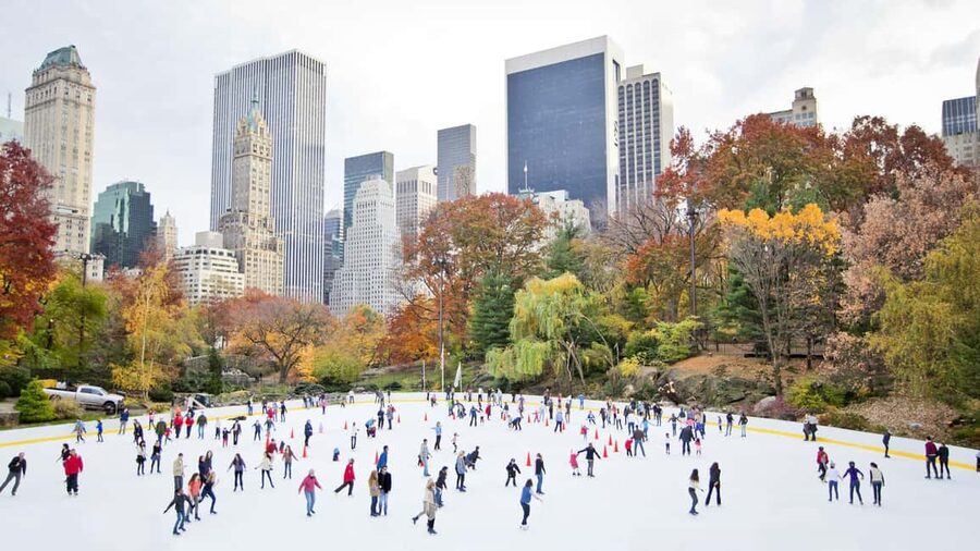 NYC: Private Central Park Tour - Price and practical value