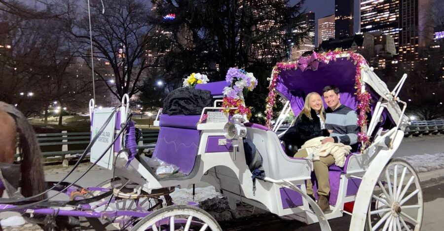 NYC: Private Christmas Lights Horse Carriage Ride - Key points at a glance