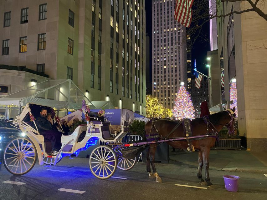 NYC: Private Christmas Lights Horse Carriage Ride - Fifth Avenue’s holiday storefronts